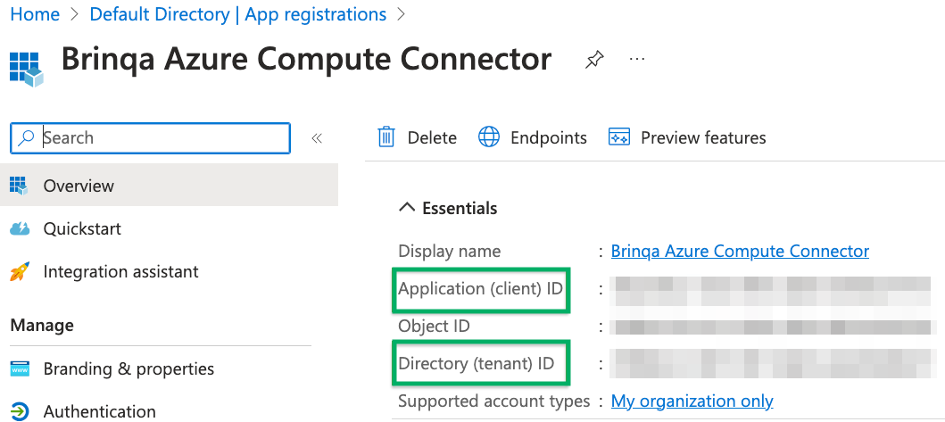 Azure Compute Client and Tenant IDs