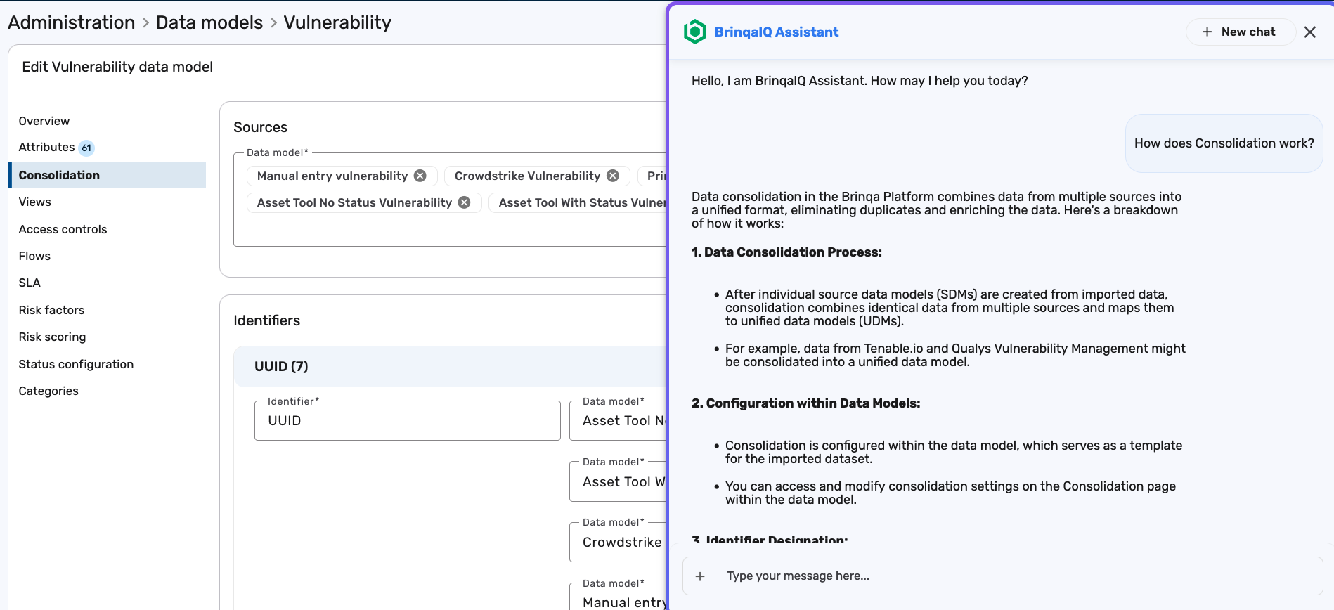BrinqaIQ Documentation Assistant Consolidation Example