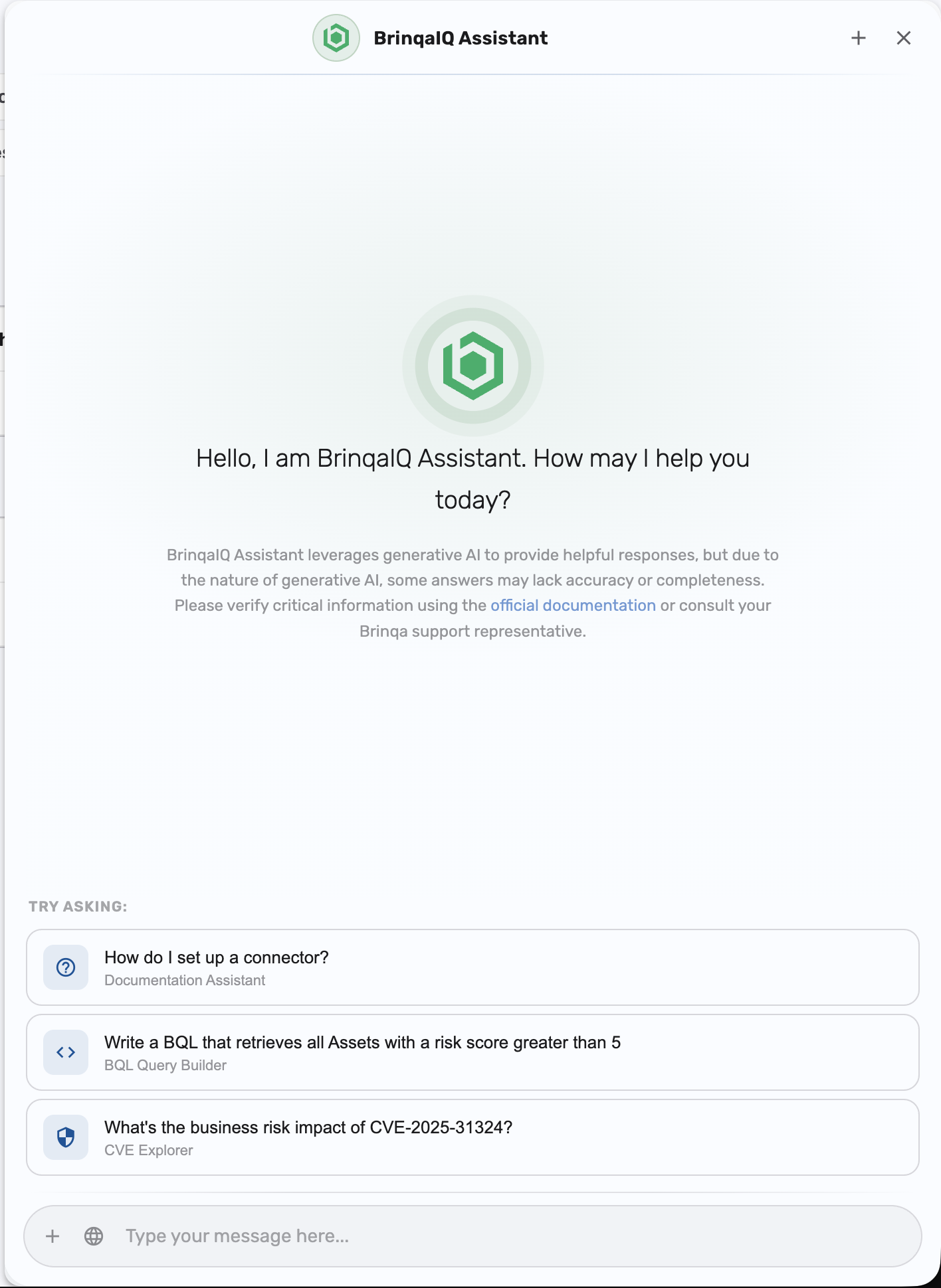 BrinqaIQ startup view